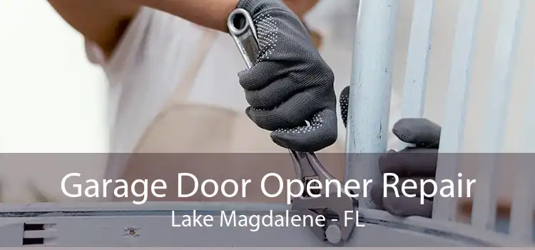 Garage Door Opener Repair Lake Magdalene - FL