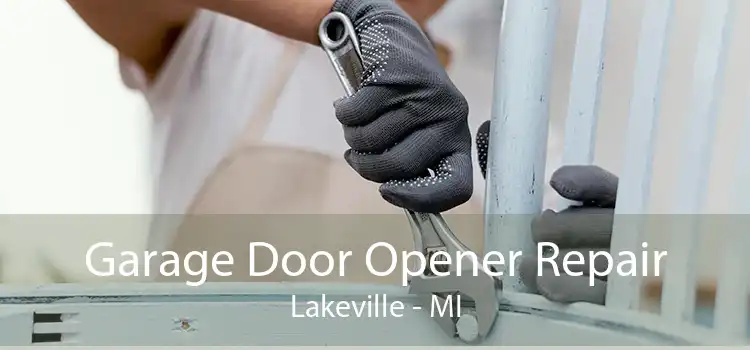 Garage Door Opener Repair Lakeville - MI