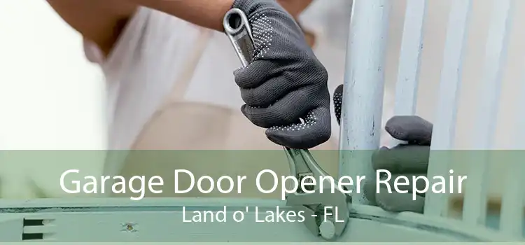 Garage Door Opener Repair Land o' Lakes - FL
