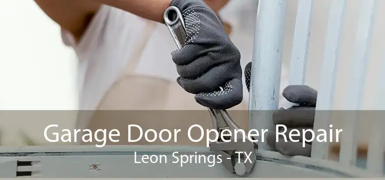 Garage Door Opener Repair Leon Springs - TX
