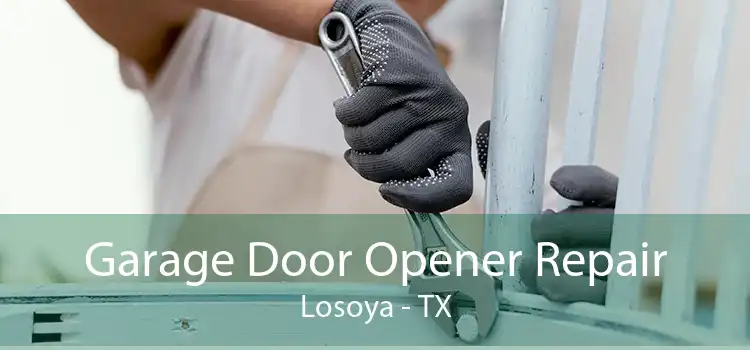 Garage Door Opener Repair Losoya - TX