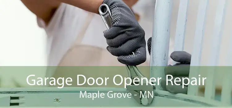 Garage Door Opener Repair Maple Grove - MN