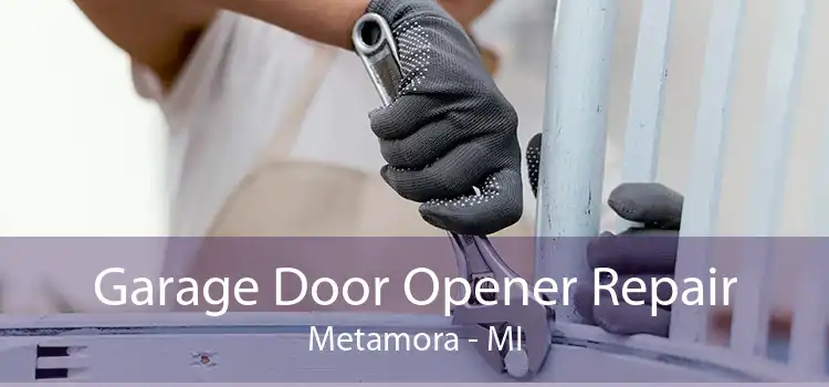  Garage Door Opener Repair Metamora - MI