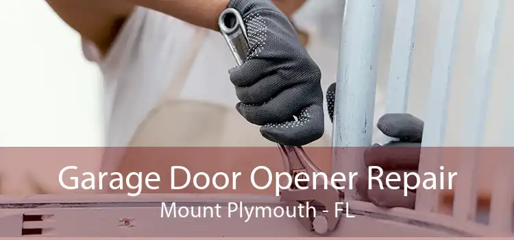 Garage Door Opener Repair Mount Plymouth - FL