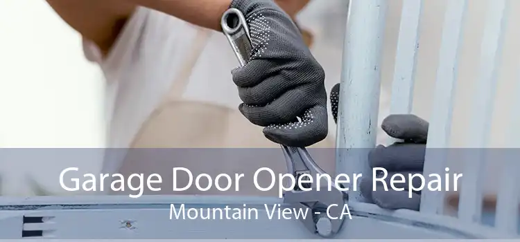 Garage Door Opener Repair Mountain View - CA