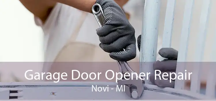 Garage Door Opener Repair Novi - MI