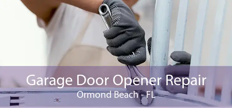 Garage Door Opener Repair Ormond Beach - FL