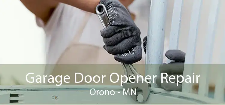 Garage Door Opener Repair Orono - MN