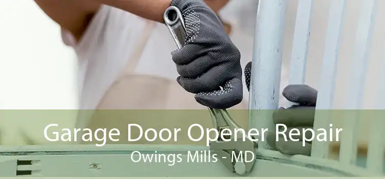 Garage Door Opener Repair Owings Mills - MD