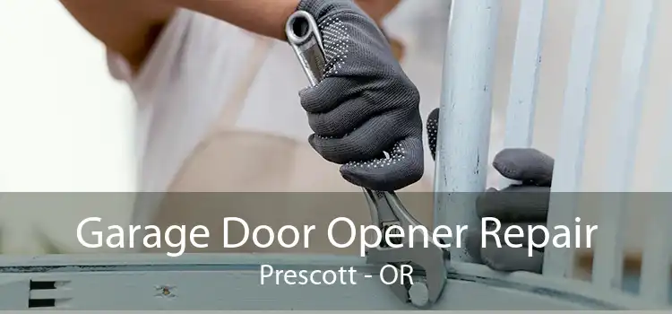 Garage Door Opener Repair Prescott - OR