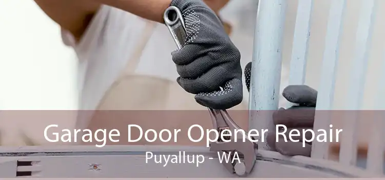 Garage Door Opener Repair Puyallup - WA