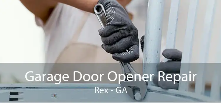Garage Door Opener Repair Rex - GA