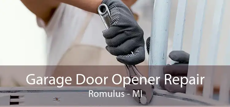 Garage Door Opener Repair Romulus - MI