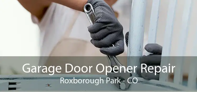 Garage Door Opener Repair Roxborough Park - CO