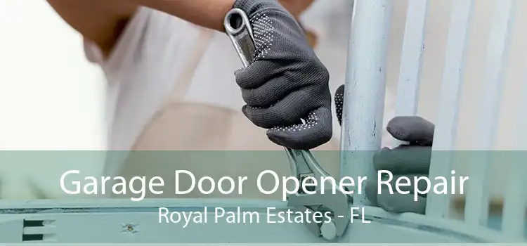 Garage Door Opener Repair Royal Palm Estates - FL