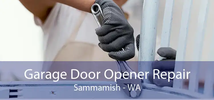 Garage Door Opener Repair Sammamish - WA