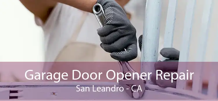 Garage Door Opener Repair San Leandro - CA