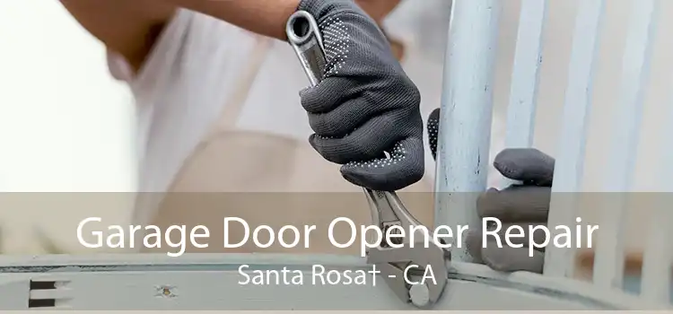 Garage Door Opener Repair Santa Rosa† - CA