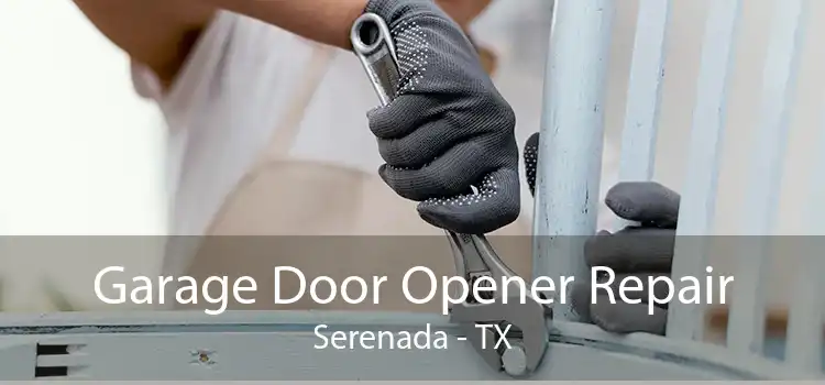 Garage Door Opener Repair Serenada - TX