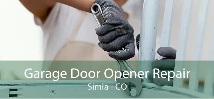 Garage Door Opener Repair Simla - CO