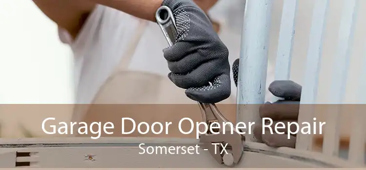 Garage Door Opener Repair Somerset - TX