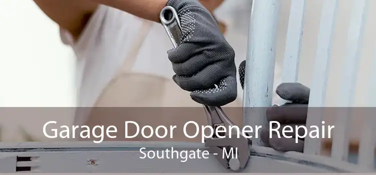Garage Door Opener Repair Southgate - MI