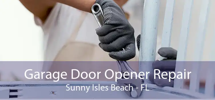 Garage Door Opener Repair Sunny Isles Beach - FL