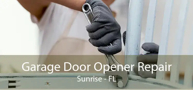 Garage Door Opener Repair Sunrise - FL