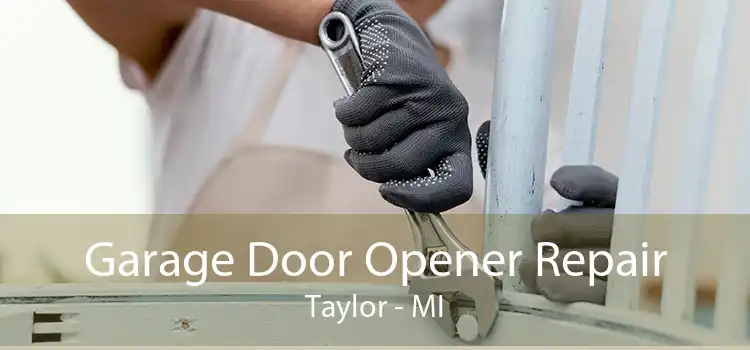 Garage Door Opener Repair Taylor - MI