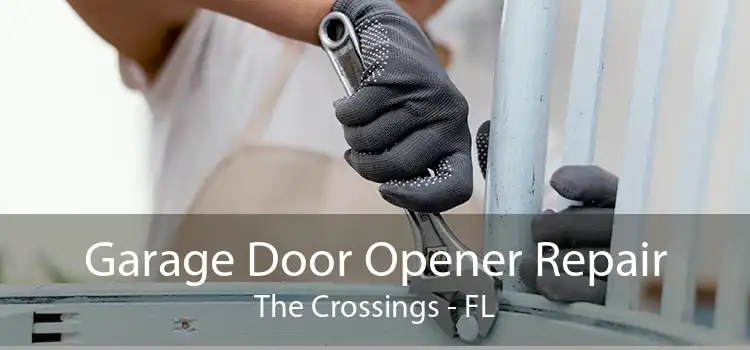 Garage Door Opener Repair The Crossings - FL