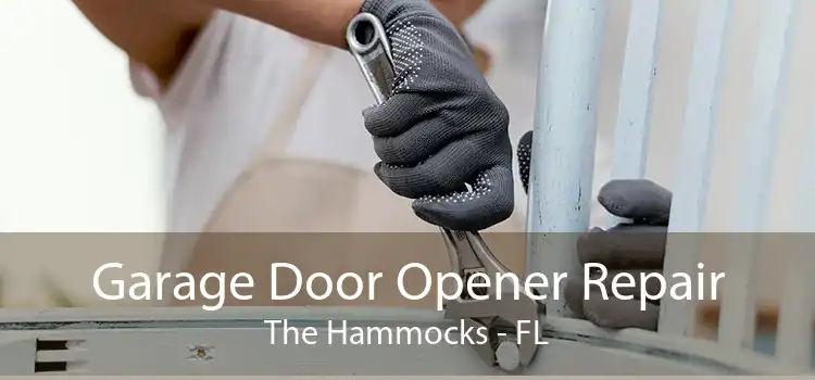 Garage Door Opener Repair The Hammocks - FL