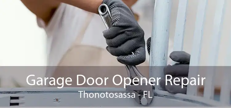 Garage Door Opener Repair Thonotosassa - FL