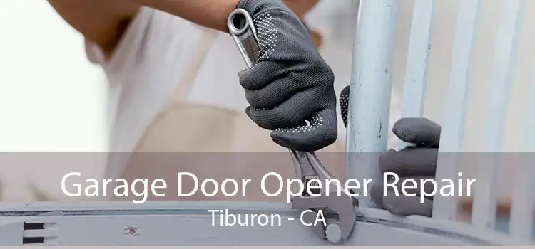 Garage Door Opener Repair Tiburon - CA