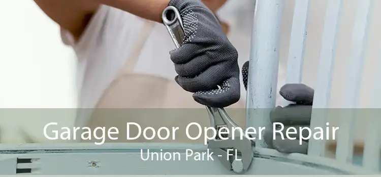 Garage Door Opener Repair Union Park - FL