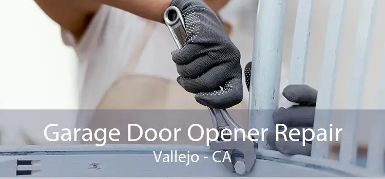 Garage Door Opener Repair Vallejo - CA