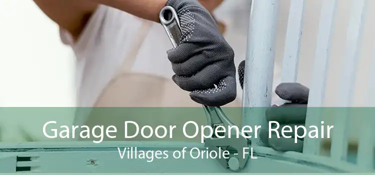 Garage Door Opener Repair Villages of Oriole - FL