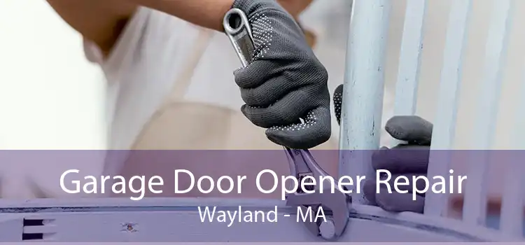 Garage Door Opener Repair Wayland - MA