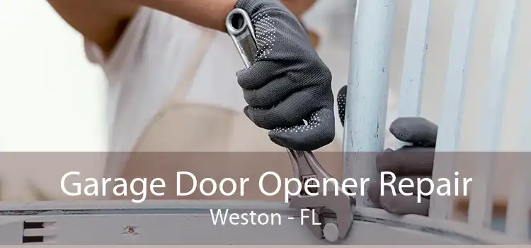 Garage Door Opener Repair Weston - FL