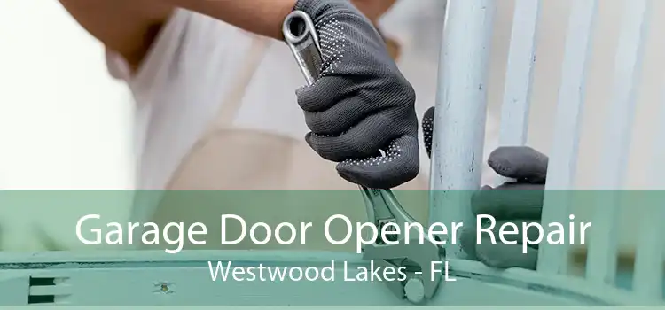 Garage Door Opener Repair Westwood Lakes - FL