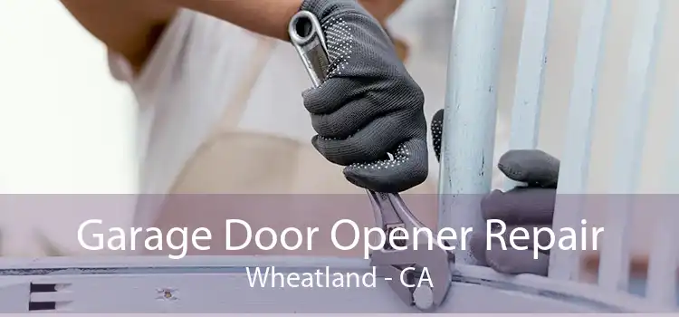 Garage Door Opener Repair Wheatland - CA