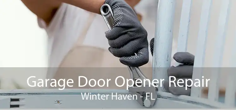 Garage Door Opener Repair Winter Haven - FL