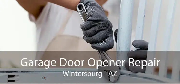 Garage Door Opener Repair Wintersburg - AZ