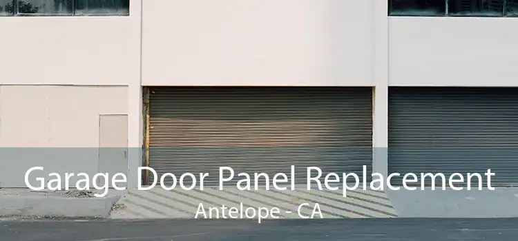  Garage Door Panel Replacement Antelope - CA