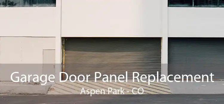 Garage Door Panel Replacement Aspen Park - CO