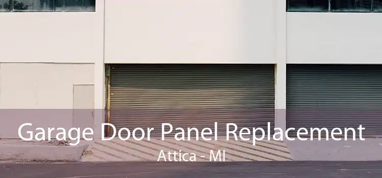 Garage Door Panel Replacement Attica - MI