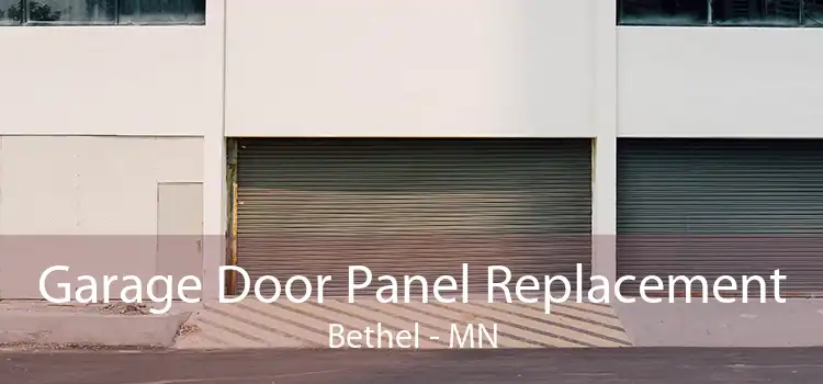 Garage Door Panel Replacement Bethel - MN