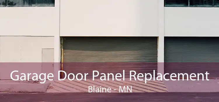 Garage Door Panel Replacement Blaine - MN