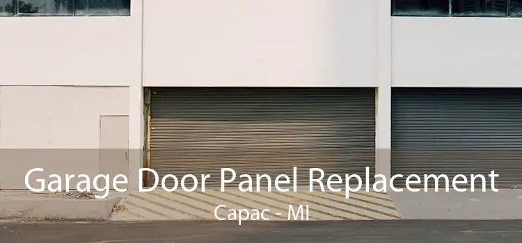 Garage Door Panel Replacement Capac - MI
