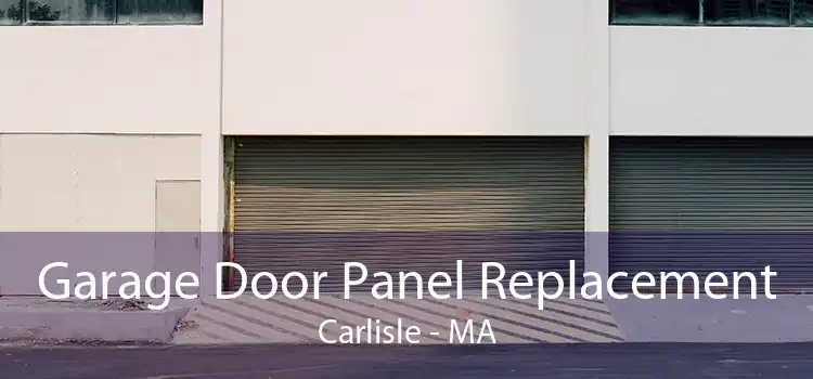  Garage Door Panel Replacement Carlisle - MA