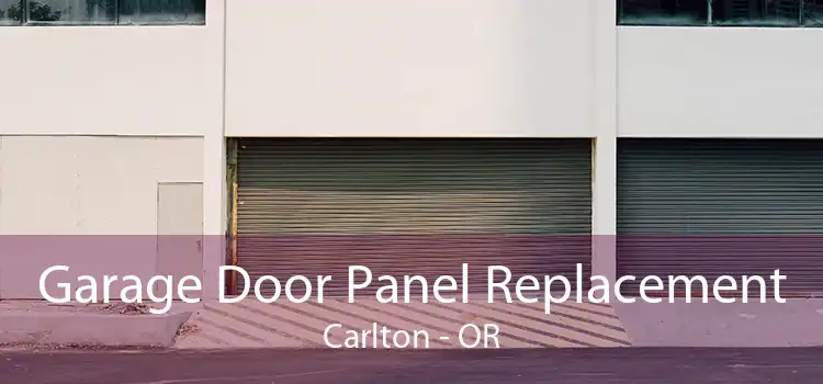 Garage Door Panel Replacement Carlton - OR